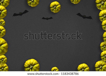 Pumpkin on a dark background. Copy space. Celebratory background. Holidays