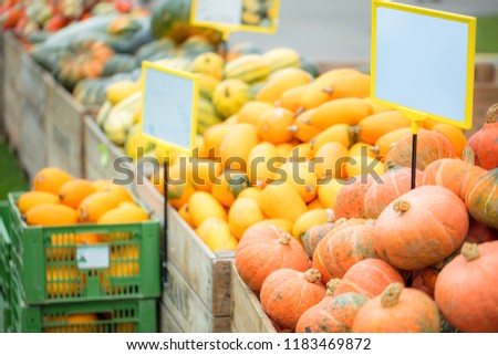 Decorative orange pumpkins on display at the farmers market in Germany. Orange ornamental pumpkins in sunlight. Harvesting and Thanksgiving
concept.