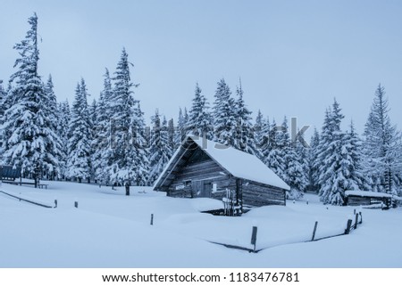 Snowy forest in the Carpathians. A small cozy wooden house covered with snow. The concept of peace and winter recreation in the mountains. Happy New Year