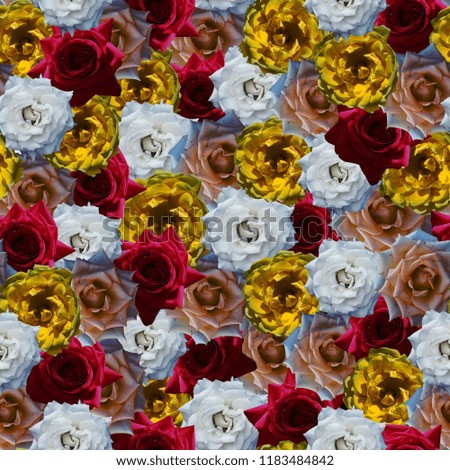 Seamless solid pattern of natural roses. Bright saturated color, For printing on paper and fabric.