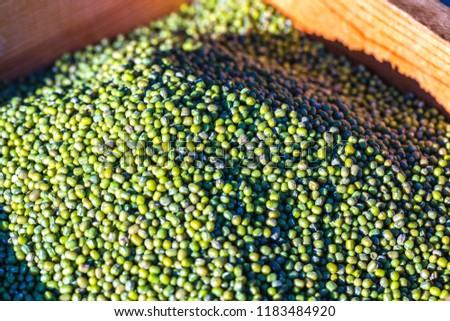 Mung Bean in a Box Container