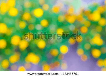 beautiful blurred background a splash of bright defocused flowers in the garden