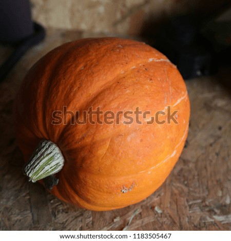 round ripe pumpkin of brightly orange color of a new harvest with a dry tail which is very similar to a basketball