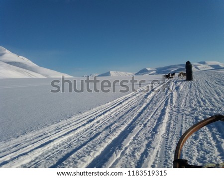 Dog sledging on Spitzbergen