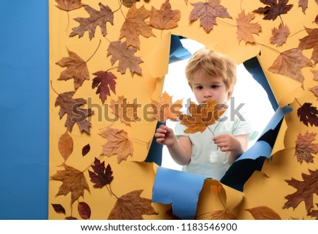 The autumn mood and the weather are warm and sunny and rain is possible. Cute little boy are preparing for autumn sunny day