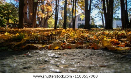 Beautiful low view of an old house and the orange leaves in the ground during the fall autumn season Halloween