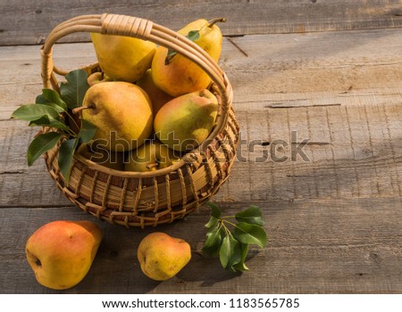 Ripe juicy pears in a basket on brown wooden table, natural light, copy space.