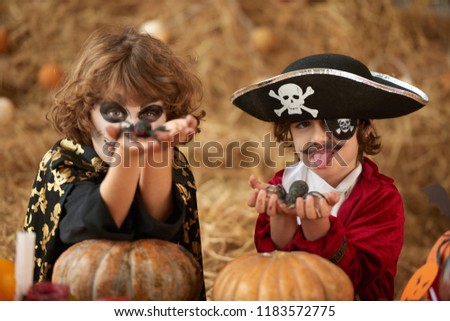 Two funny boys showing plastic spiders for Halloween decoration