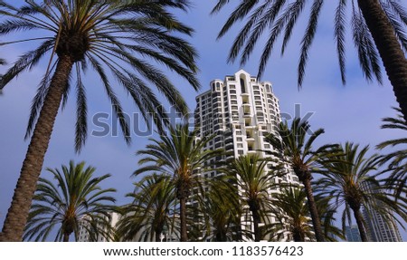 Modern San Diego high rise residential building framed by palm trees                        