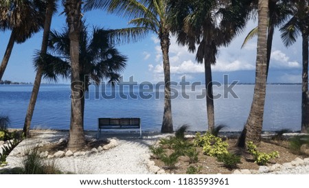 Park bench overlooking the gulf of Mexico surrounded by palm trees and a walking trail. 