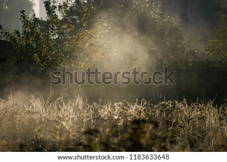 Foggy morning in the field. Vintage nature background. Autumn grass with morning dew in sun light closeup. Fall backdrop.