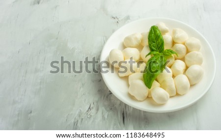 Mozzarella with basil leaves - fresh ingredients for caprese salad with copy space on light background, top view