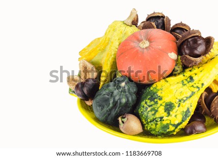 Fall decoration with squash and chestnuts isolated on white background