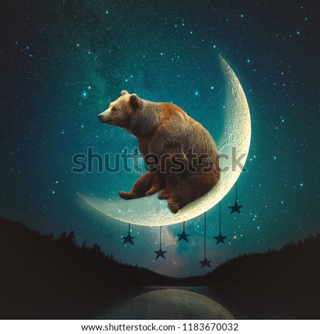 The Moon Bear