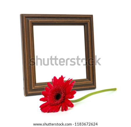 Beautiful daisy flower isolate in wooden frame on white 
