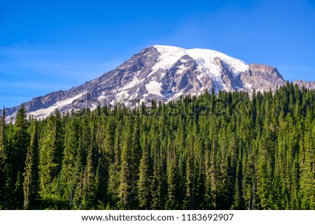 Mt Rainier National Park, Washington-USA