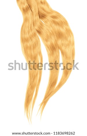 Blond hair curls, isolated on white background. Long wavy ponytail