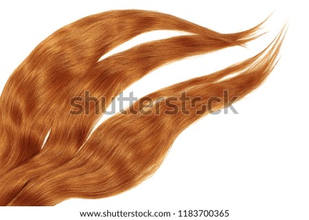 Red hair curls, isolated on white background. Long wavy ponytail