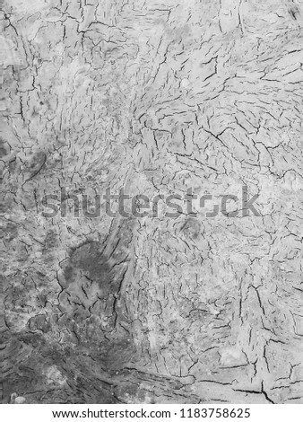 Grunge cement background texture