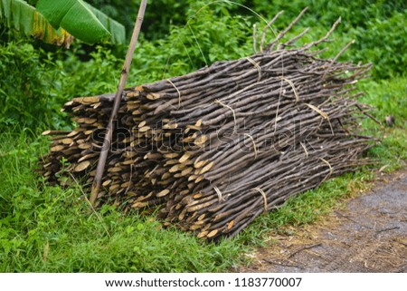 Small cuttings are cut and tied together on the roadside. To wait for the transfer to firewood for cooking. Sufficiency Economy of Rural Communities in Northeastern Thailand
