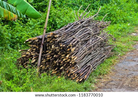 Small cuttings are cut and tied together on the roadside. To wait for the transfer to firewood for cooking. Sufficiency Economy of Rural Communities in Northeastern Thailand
