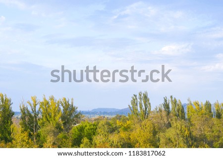 Urban Autumn landscape with trees in sunlight