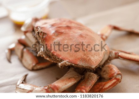 A picture of a freshly caught and cook crab. Ready to be eaten. Great for restaurant websites orother food related business. 