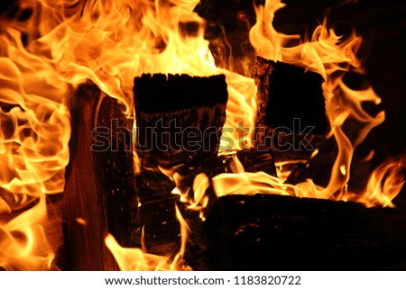 wood burning in fire, Kyivska oblast, Ukraine 