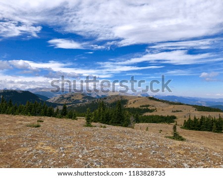 Canadian Rocky Mountains and trees