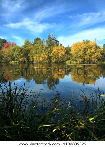 Lake autumn under the blue sky