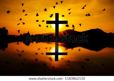 Concept cross or crux ordinaria of Jesus with the light shining in the sunset with a flying bird silhouette