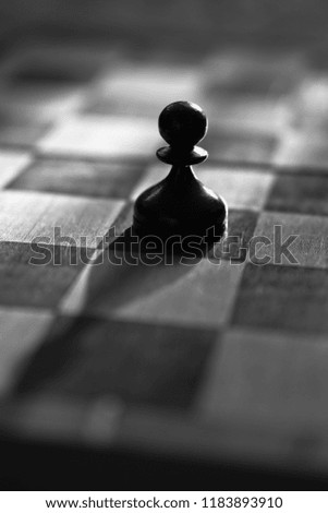 One chess player is a winner in sunlit rays and glory. Art of playing chess. Stock Photo