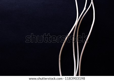 White stems on black background. Abstract background.
