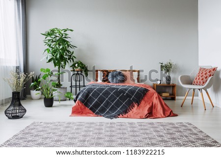 Armchair next to red bed with black blanket in bedroom interior with carpet and plants. Real photo Royalty-Free Stock Photo #1183922215