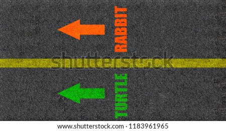 Abstract photo,Compare between rabbit and turtle or fast and slow. Background of asphalt road.