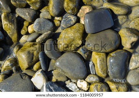 Abstract background texture, Colorful sea stones in water, top view.