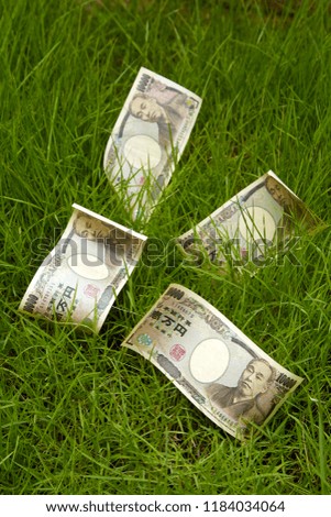 Japanese One thousand yen bills In grass, Investment Ideas, Savings