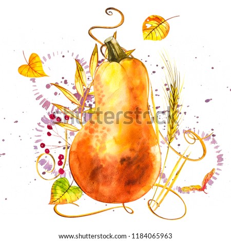 Watercolor hand drawn illustration of pumpkin with paint splashes. Orange food. Art fresh watercolor orange pumpkins isolated on the white background.