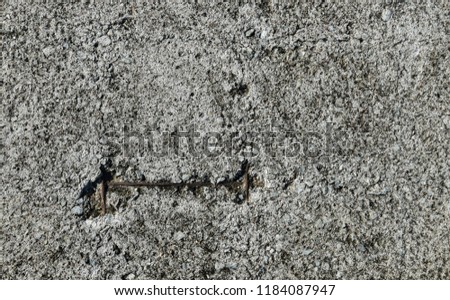 Concrete texture background with rusty steel line inside