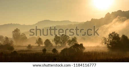 Magical autumn landscape with sun rays in the morning. Vintage landscapes. No effect filter.