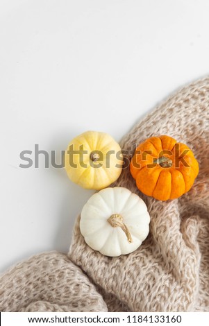 Pumpkins on the blanket Royalty-Free Stock Photo #1184133160