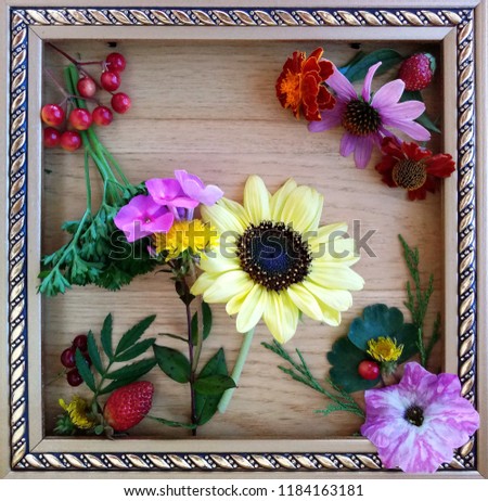 Sunflower, Echinacea, Rudbeckia, Flox, Kalina, strawberry are in a decorative frame on a wooden background.