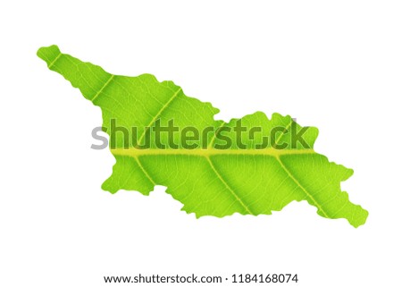 Map of Georgia made from green leaves