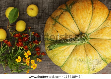 Fresh pumpkins decorated flower on wooden table, top view