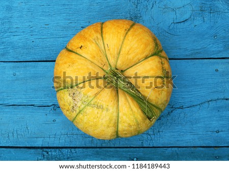 little orange pumpkin on blue wooden background