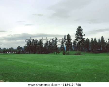 Lush green grassy sports field with soccer nets and basketball court in background. Tall pine trees and hills under cloudy sky.