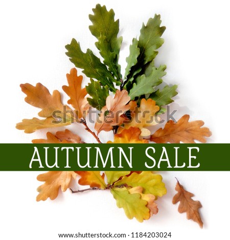 Autumn sale vintage  typography poster with autumn color leaves. oak leaves for autumn discount