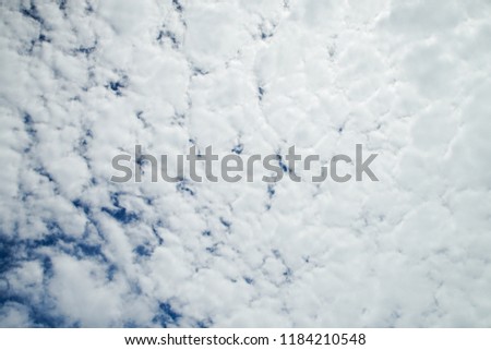 blue sky and white could, daylight clouldspace in sunshine day. Soft white could background and texture