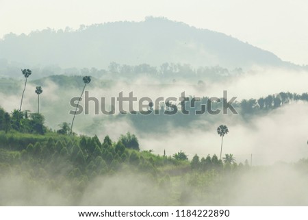 A view of foggy mountain