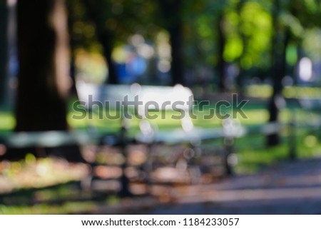 Blurred background, city park.